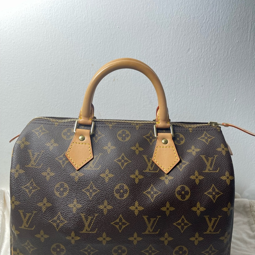 Louis Vuitton Brown and Tan Monogram Satchel Speedy 30